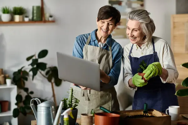 Stock image Two women in aprons, engaged with a laptop screen.