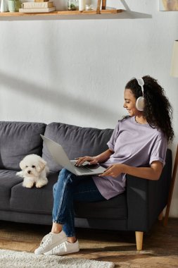 Bichon friz 'li bir kadın rahat koltukta dizüstü bilgisayar kullanıyor..