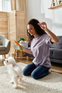 Beyaz Bichon Frise köpeğini okşayan bir kadın..