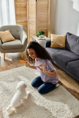 Bir kadın diz çöker, yerde sevimli Bichon Frise köpeğiyle bağ kurar..