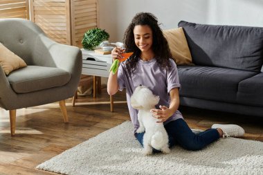 Yerde oturan bir kadın, küçük beyaz bir Bichon Frise köpeği.