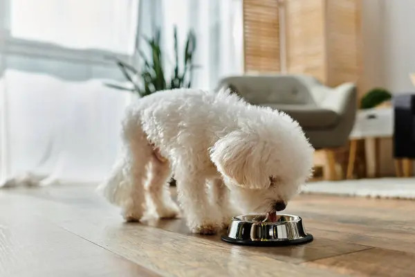 stock image Small white dog joyfully eats from metal bowl.