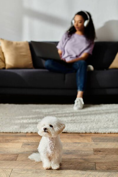 A small white bichon frise dog sitting on top of a hardwood floor,next to woman.