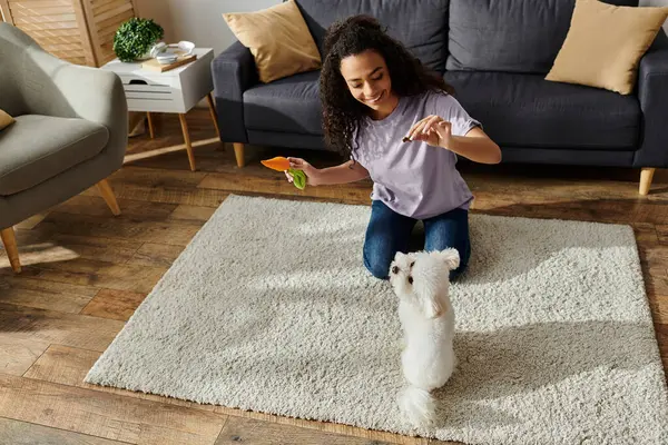 Genç bir kadın bichon friziyle yerde mutlu bir şekilde oynuyor..
