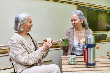 İki orta yaşlı kadın yeşil bir ormanda kamp yaparken bir fincan çay ve atıştırmalık yiyor..