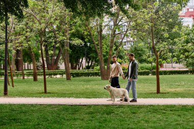 Sakallı eşcinsel bir çift, labrador köpekleri ile yemyeşil bir parkta asfalt bir yolda el ele yürüyor..