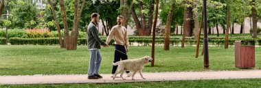 Sakallı eşcinsel bir çift labrador avcılarıyla el ele yürür. Yeşil bir parkta güneşli bir günün tadını çıkarırlar..