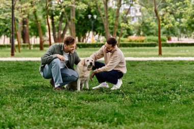 Sıradan giyinmiş sakallı eşcinsel bir çift, labrador Retriever 'larıyla yemyeşil bir parkta kaliteli zaman geçirir..