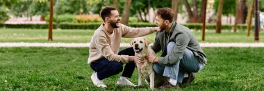Mutlu bir eşcinsel çift labrador av köpekleriyle çimenli bir parkta vakit geçirir..