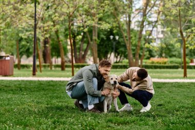 Sıradan giyinmiş iki sakallı adam yeşil bir parkta Labrador Retriever 'larıyla seve seve etkileşime girer..