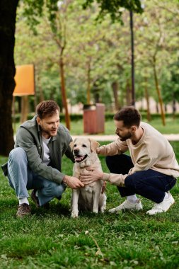 Gündelik giysiler içinde iki sakallı adam yeşil çimlere çömelip labrador av köpeklerini okşuyor..