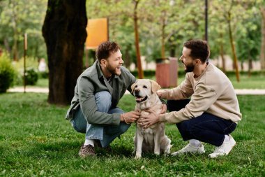 Günlük kıyafetli iki sakallı adam yeşil bir parkta Labrador Retriever 'larıyla vakit geçiriyorlar..