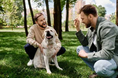 İki sakallı adam, eşcinsel bir çift, yeşil bir parkta güneşli bir günün tadını çıkarıyorlar, gülüyorlar ve labrador av köpekleri ile oynuyorlar..
