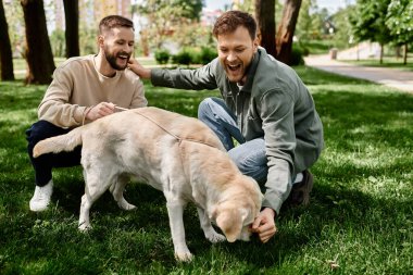 Günlük kıyafetli iki sakallı eşcinsel, yeşil bir parkta birlikte vakit geçiriyorlar. Labrador köpekleriyle gülüp oynuyorlar..