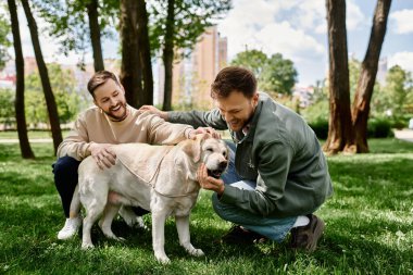 Gündelik kıyafet giymiş sakallı eşcinsel bir çift güneşli bir öğleden sonrayı parkta gülüp labrador av köpekleriyle oynayarak geçirir..