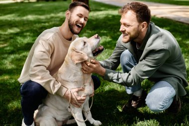 A bearded gay couple spends a sunny day in the park with their labrador retriever. They are both smiling and appear to be enjoying their time together. clipart