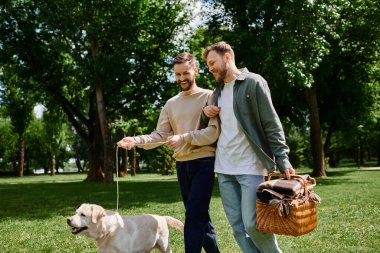 Sakallı eşcinsel bir çift yemyeşil bir parkta labrador köpeğiyle el ele yürür. Bir piknik sepeti ve battaniye taşıyorlar..