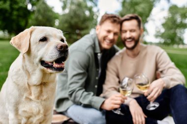 Bir labrador köpeği iki adamın yeşil bir parkta piknik yapmasını izler..