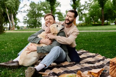 Mutlu sakallı eşcinsel bir çift yeşil bir parkta labrador köpeğiyle pikniğin tadını çıkarıyor..