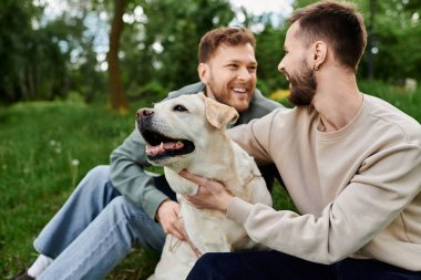 Sakallı eşcinsel bir çift, yemyeşil bir parkta Labrador av köpekleriyle vakit geçiriyor..