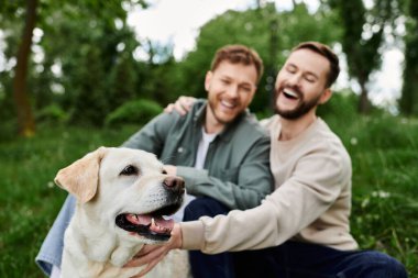 Sakallı eşcinsel çift gülüyor ve yemyeşil bir parkta Labrador köpeklerini besliyor..