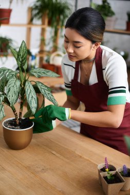A young Asian woman, wearing an apron, tends to a plant in her shop, showcasing her passion for nurturing greenery. clipart