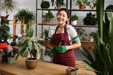 Önlük takmış gülümseyen Asyalı bir kadın bitki dükkanında duruyor. Elinde bahçe aletleri var ve etrafı yemyeşil..
