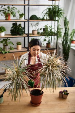 A young Asian woman in an apron works in her plant shop, tending to the greenery. clipart