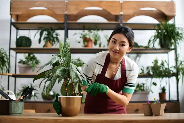 Önlüklü gülümseyen Asyalı bir kadın çiçekçisinde çalışıyor, canlı yeşil bir bitkiyle ilgileniyor..