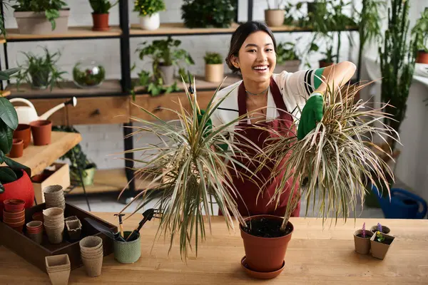 Önlüklü gülümseyen Asyalı bir kadın dükkanında çiçeklerle ilgileniyor..