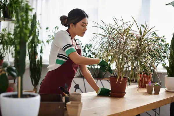 Önlüklü genç bir Asyalı kadın dükkanına çiçek dikmeye özen gösterir..
