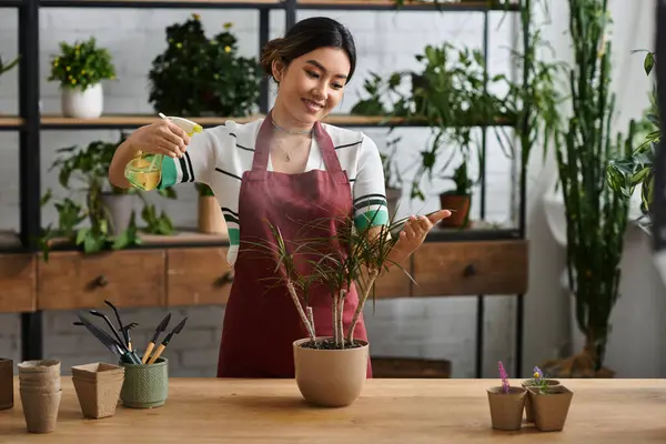 stock image An Asian woman, the owner of a small plant store, carefully misting a potted plant in her shop.