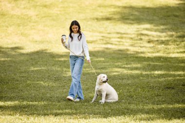 Güzel bir kadın sıcak bir sonbahar gününde köpeğini güneşli bir parkta gezdirir..