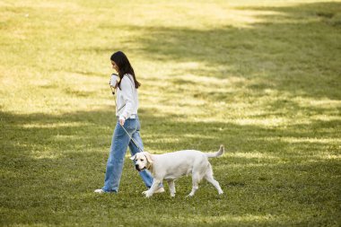 Sıcak sonbahar kıyafetleri içinde genç bir kadın köpeğini huzur dolu bir parkta gezdirirken mutlu olur..