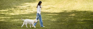 Samimi bir sonbahar kıyafeti giyen bir kadın, köpeğiyle birlikte yapraklı bir parkta geziniyor..