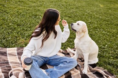Genç bir kadın parkta sıcak bir sonbahar gününün tadını çıkarıyor, dost canlısı köpeğiyle anlar paylaşıyor..