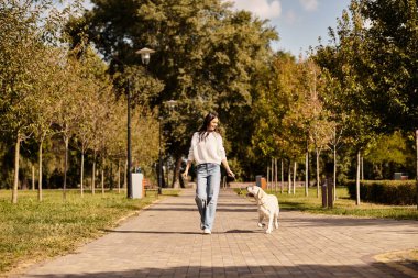 Sıcak sonbahar kıyafetleri içinde güzel bir kadın köpeğiyle huzurlu bir parkta geziniyor..