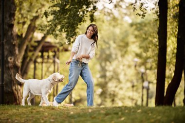 Neşeli genç bir kadın renkli sonbahar yapraklarıyla çevrili bir parkta köpeğini dolaştırıyor..