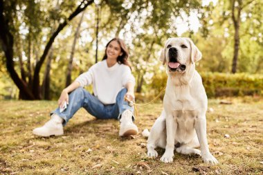 Sonbahar için giyinmiş güzel bir kadın, yanında neşeli köpeği ile parkta dinleniyor..