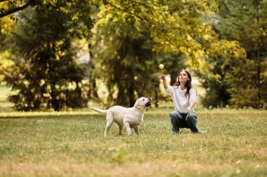 Sıcak giyimli bir kadın köpeğiyle oynar, güneşli bir sonbahar parkında top atar..