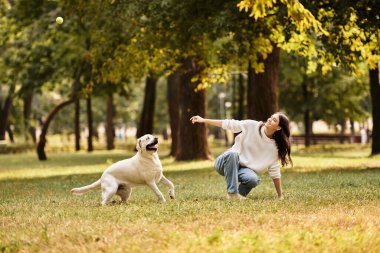 Sonbahar için giyinmiş genç bir kadın güzel bir parkta köpeğiyle eğleniyor..