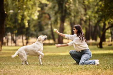 Samimi giyinmiş güzel bir kadın parkta diz çöküp enerjik köpeğine top atıyor..