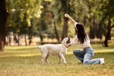 Samimi bir sonbahar kıyafeti giymiş genç bir kadın, parkta köpeğini parlak bir tenis topuyla meşgul ediyor..