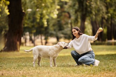 Samimi bir sonbahar kıyafeti giymiş genç bir kadın parkta köpeğiyle oynaşmaktan zevk alıyor..
