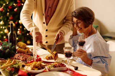Son sınıf bir çift, evde lezzetli yemek ve şarabın tadını çıkararak bayramlık bir Noel yemeğinin tadını çıkarıyor..