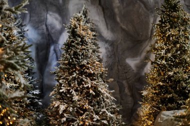 Işıldayan ışıklarla aydınlatılan karla kaplı çam ağaçları Noel neşesi için şenlikli bir atmosfer yaratır..