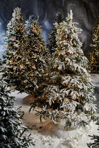 Снежные сосны сверкают мерцающими огнями, создавая волшебную праздничную атмосферу для сезона.