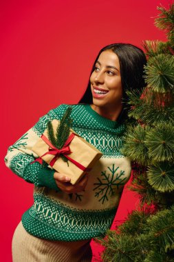 Samimi bir kazak giymiş neşeli bir kadın süslü bir Noel ağacının hediye paketine sarılıyor..