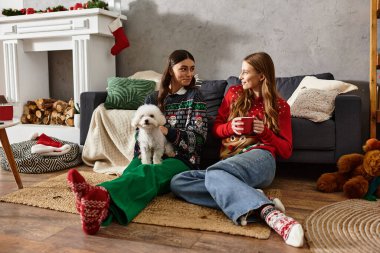 Kız arkadaşlar evde Bichon Frise köpeğiyle keyifli bir gün geçirirken rahat kazaklar giyerler..