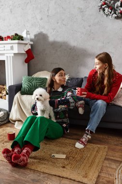 Samimi kazaklı iki kız arkadaş Noel ve yeni yılın tadını çıkarıyorlar, Bichon frizleriyle sıcaklığı paylaşıyorlar.